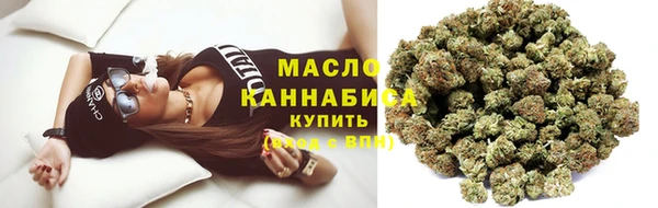 сатива Нефтекумск
