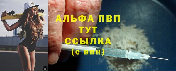 сатива Нефтекумск