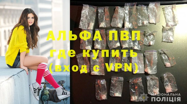 сатива Нефтекумск