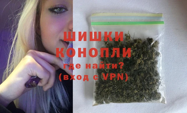 сатива Нефтекумск