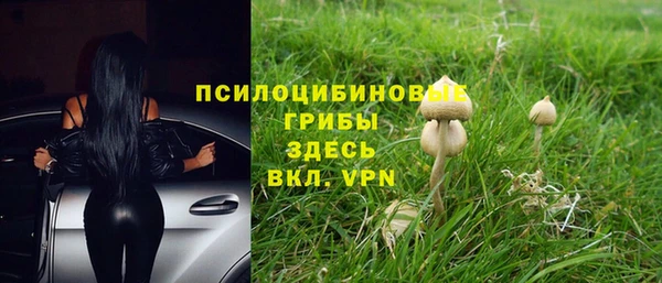 MDMA Нефтегорск